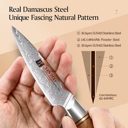 3.5'' Damascus Steel Paring Knife - 73-Layer VG10 Blade with Premium Handle for Precision Cutting