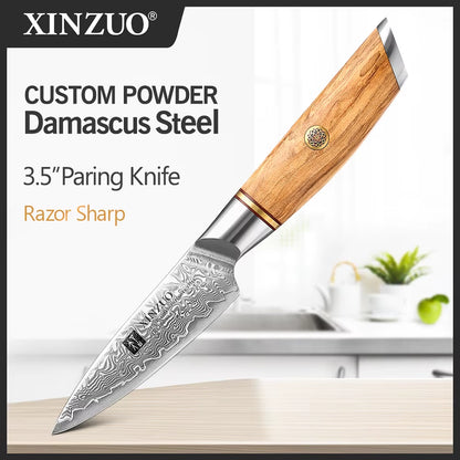 3.5'' Damascus Steel Paring Knife - 73-Layer VG10 Blade with Premium Handle for Precision Cutting