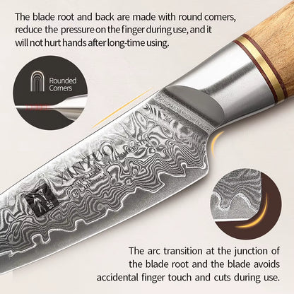 3.5'' Damascus Steel Paring Knife - 73-Layer VG10 Blade with Premium Handle for Precision Cutting